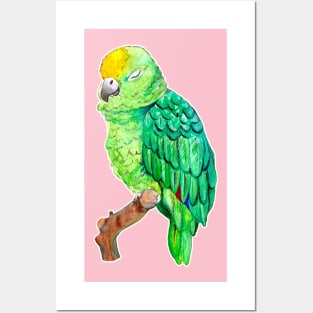 Cute and Sleepy Watercolor Parrot Posters and Art